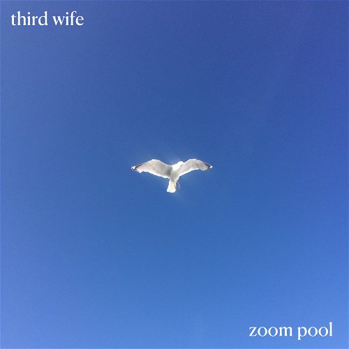 zoom pool cover art