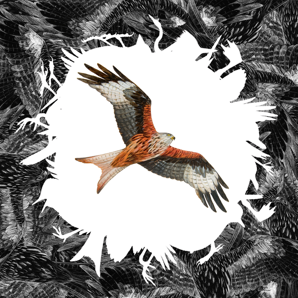 Cover art van Rotmilan (single) door Dominik Eulberg