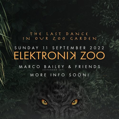 Promo voor Elektronik Zoo - The last Summer Dance