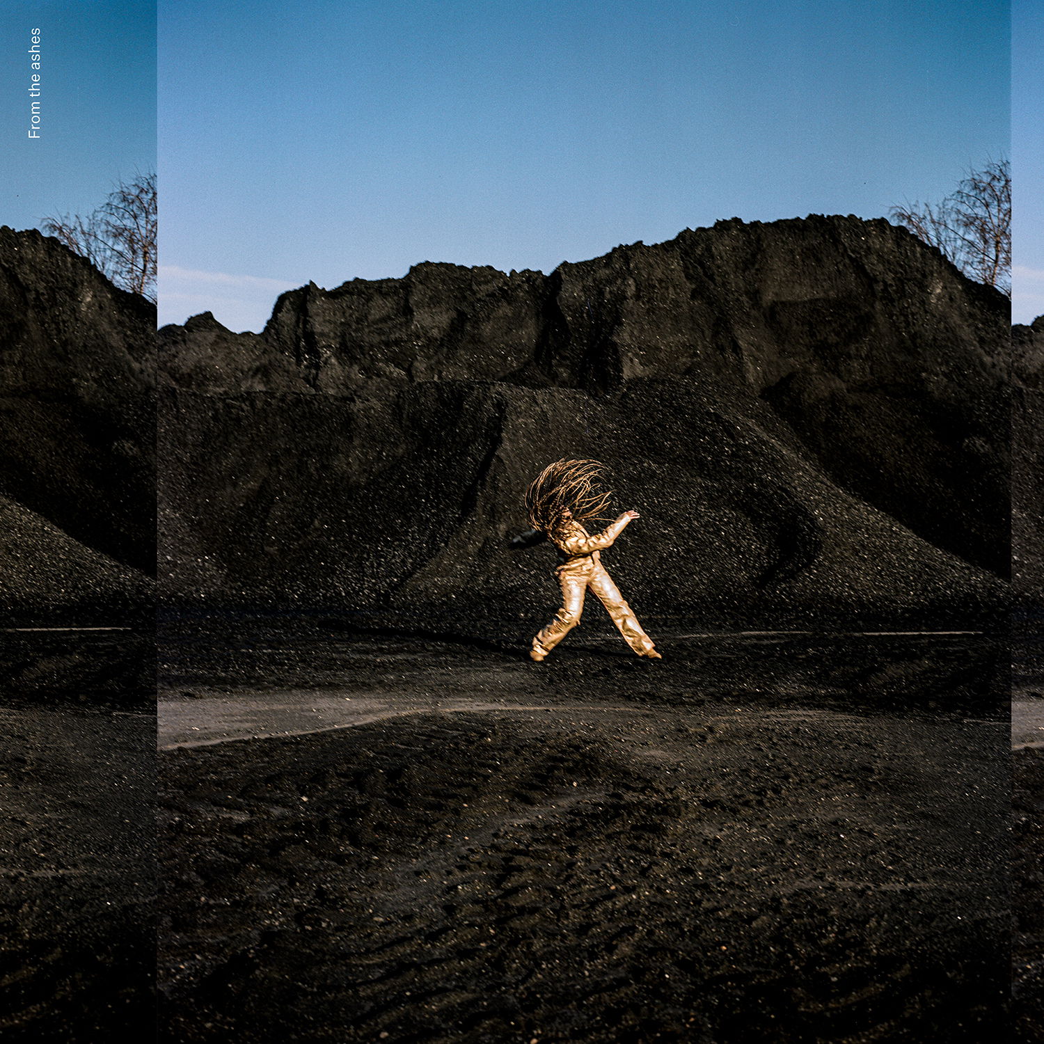 Artwork van From The Ashes door VAAGUE