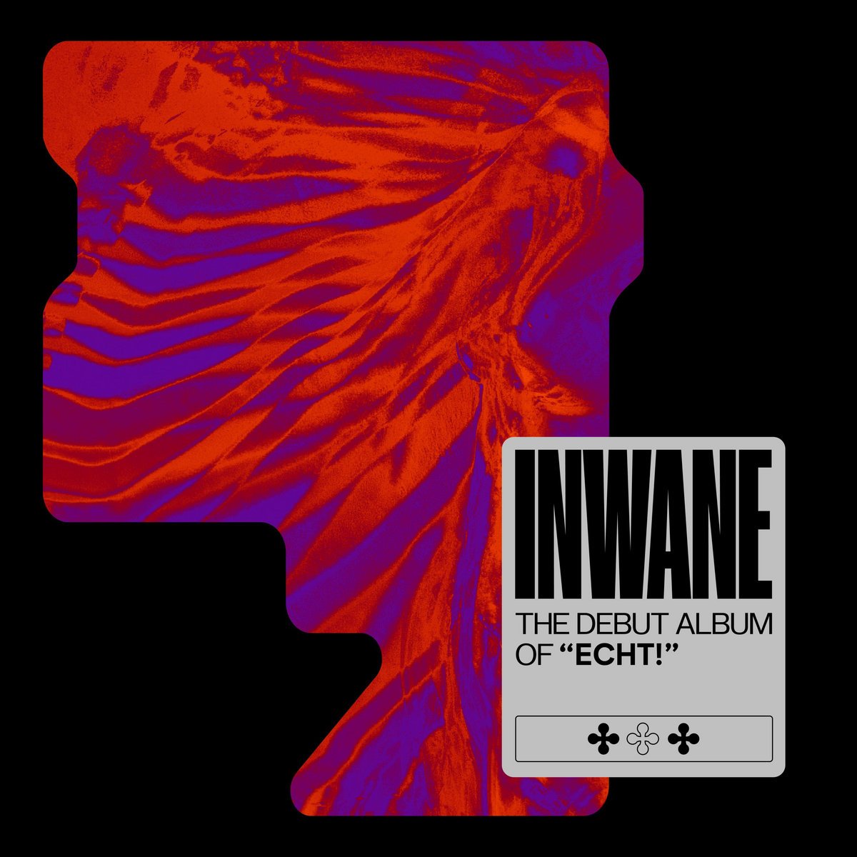 Cover art van &#039;INWANE&#039;, het debuutalbum van ECHT!