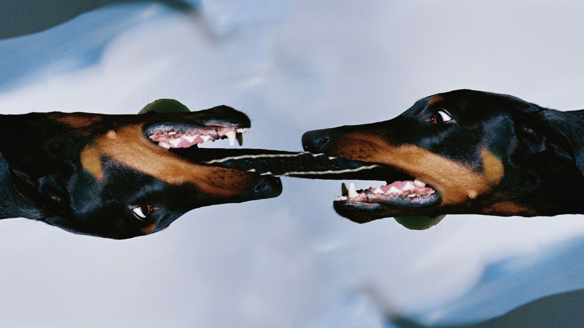 Artwork van Overmono