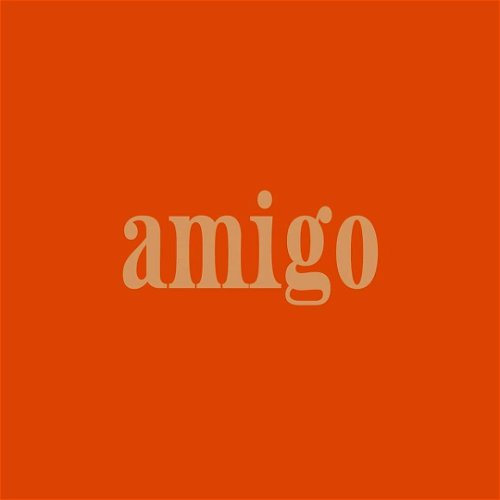 Logo  van Amigo