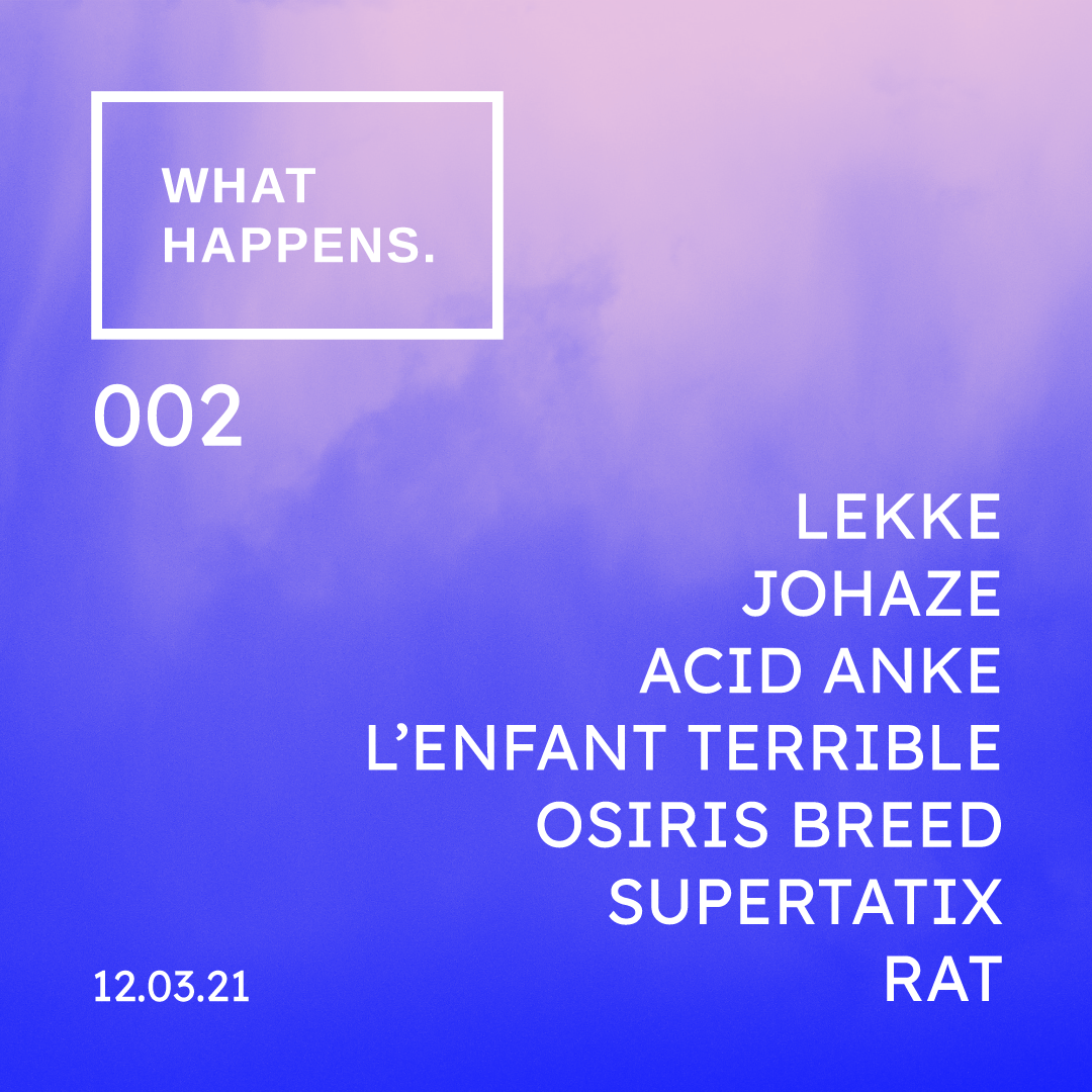 Artwork van WH002, gemaakt door Dieter Holvoet, in opdracht van What Happens