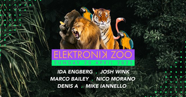 Artwork  van Elektronik Zoo, gemaakt door Marco Bailey