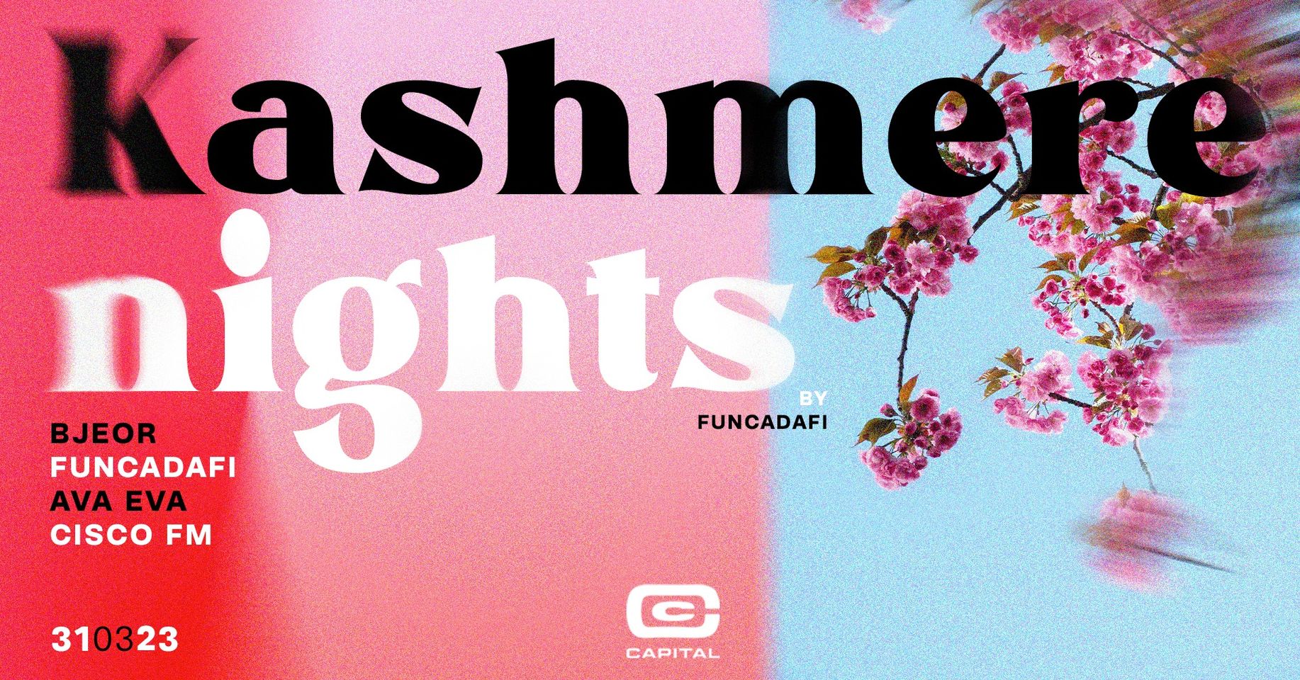 Artwork van Kashmere Nights