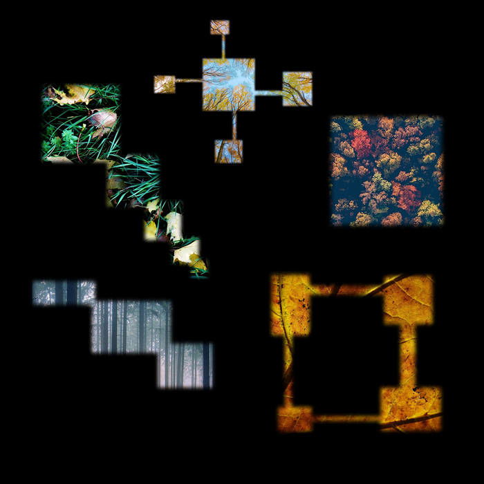 Artwork van November, in opdracht van Alpha Tracks