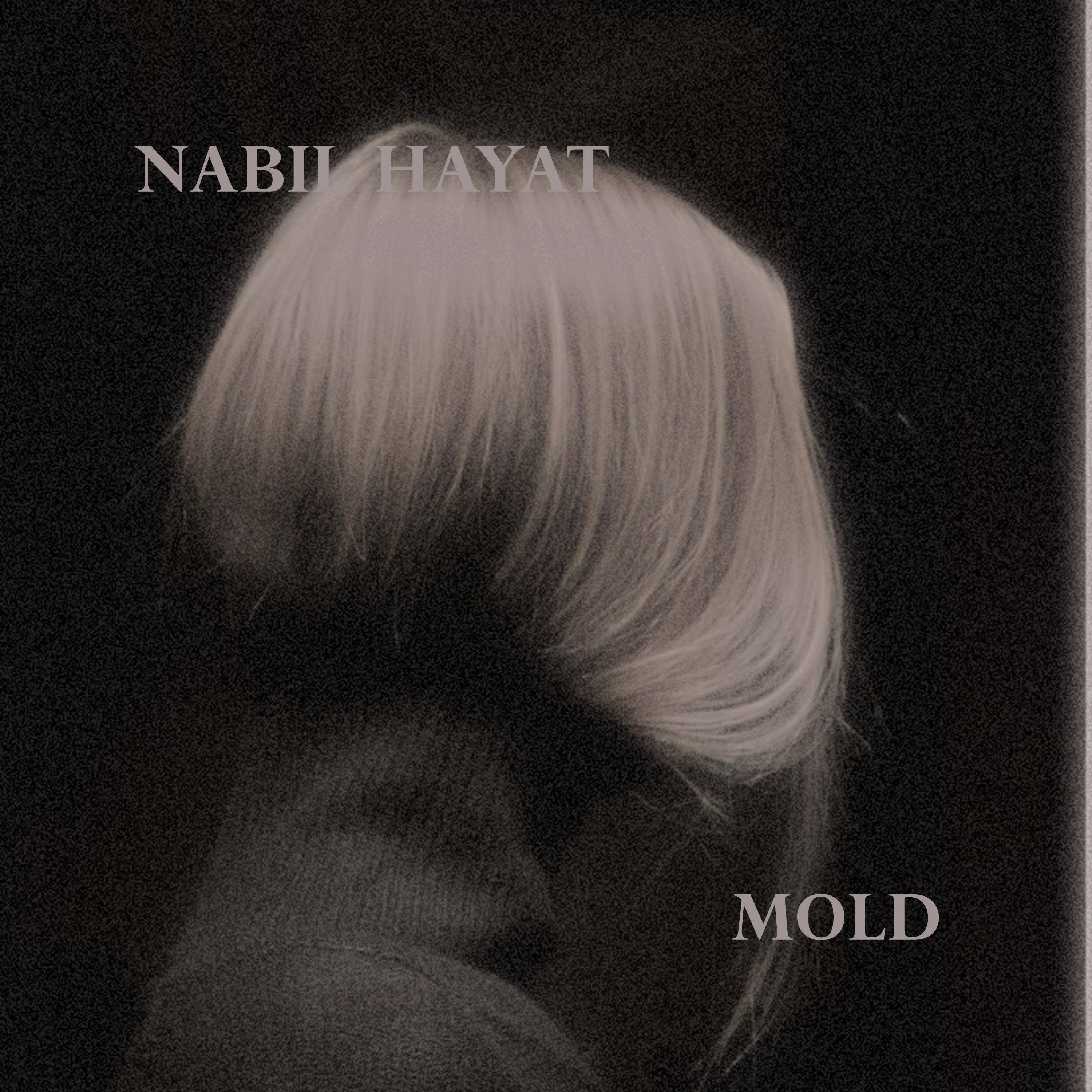 Artwork van Mold, in opdracht van Nabil Hayat