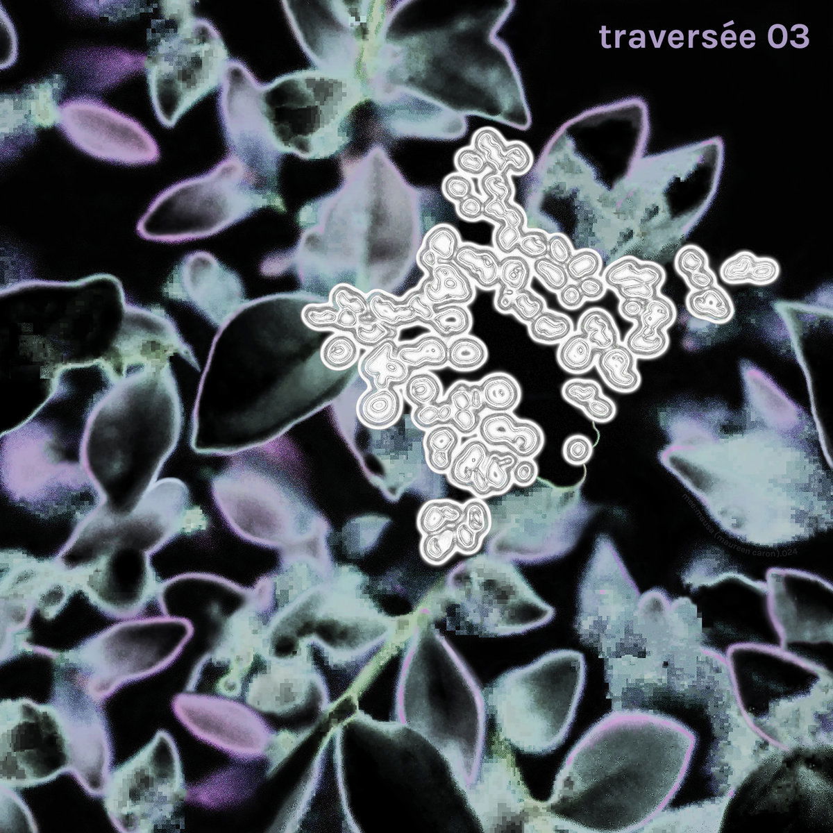 Artwork van traversée 03, in opdracht van traverse