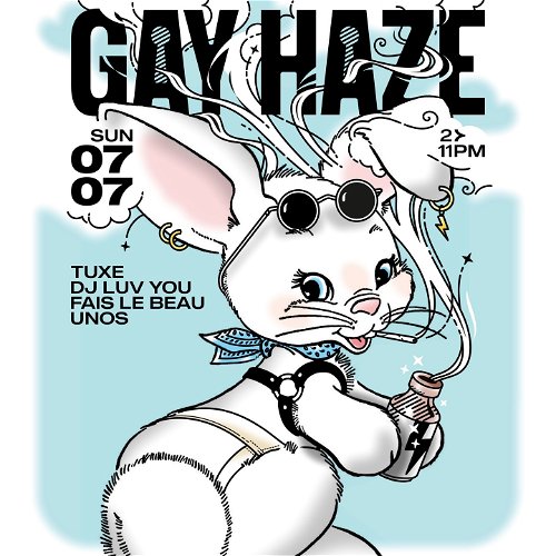 Promo  van Gay Haze
