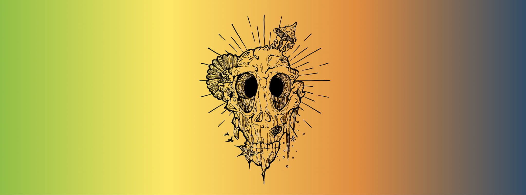 Promo van 4 SEASONS, in opdracht van 4seasons4everyone