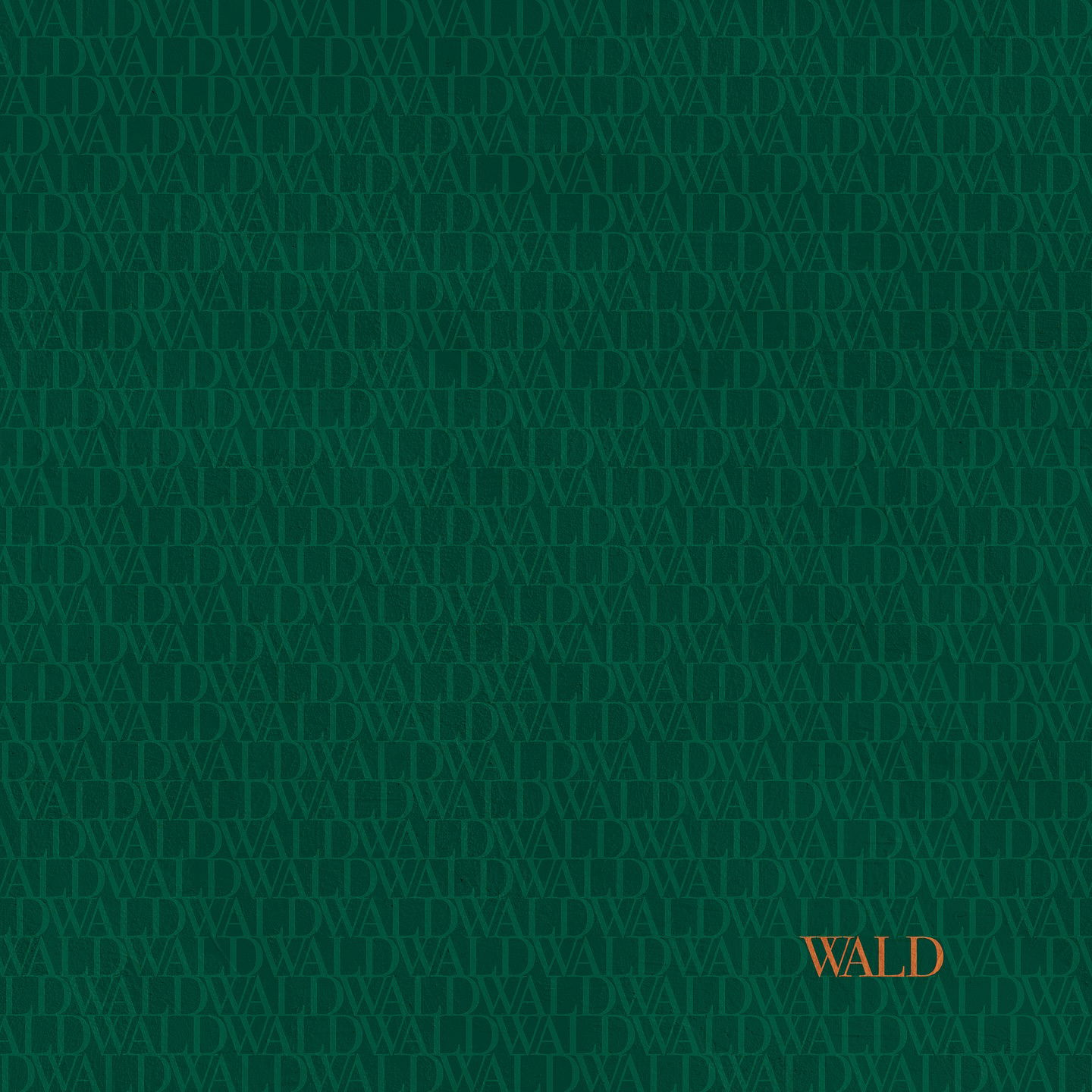 Artwork van WALD (Original Soundtrack), in opdracht van Dominik Eulberg en Hannes Kretzer