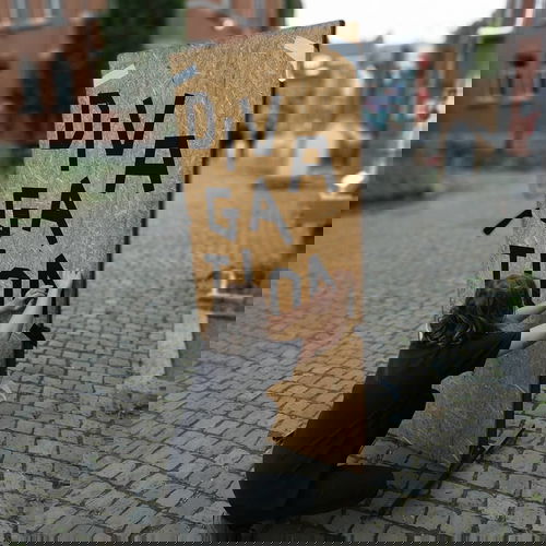 Foto van Divagation