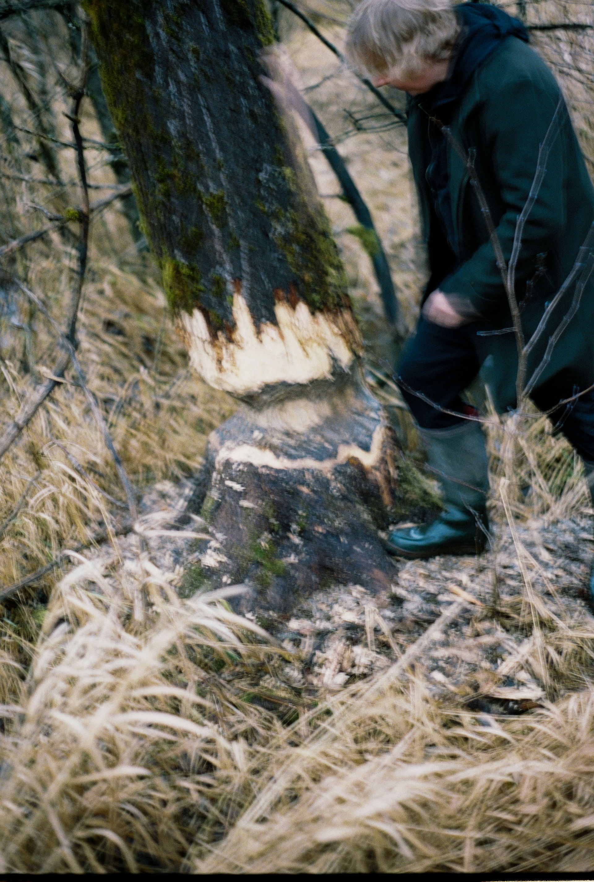 Foto van Dominik Eulberg, gemaakt door Willem Mevis