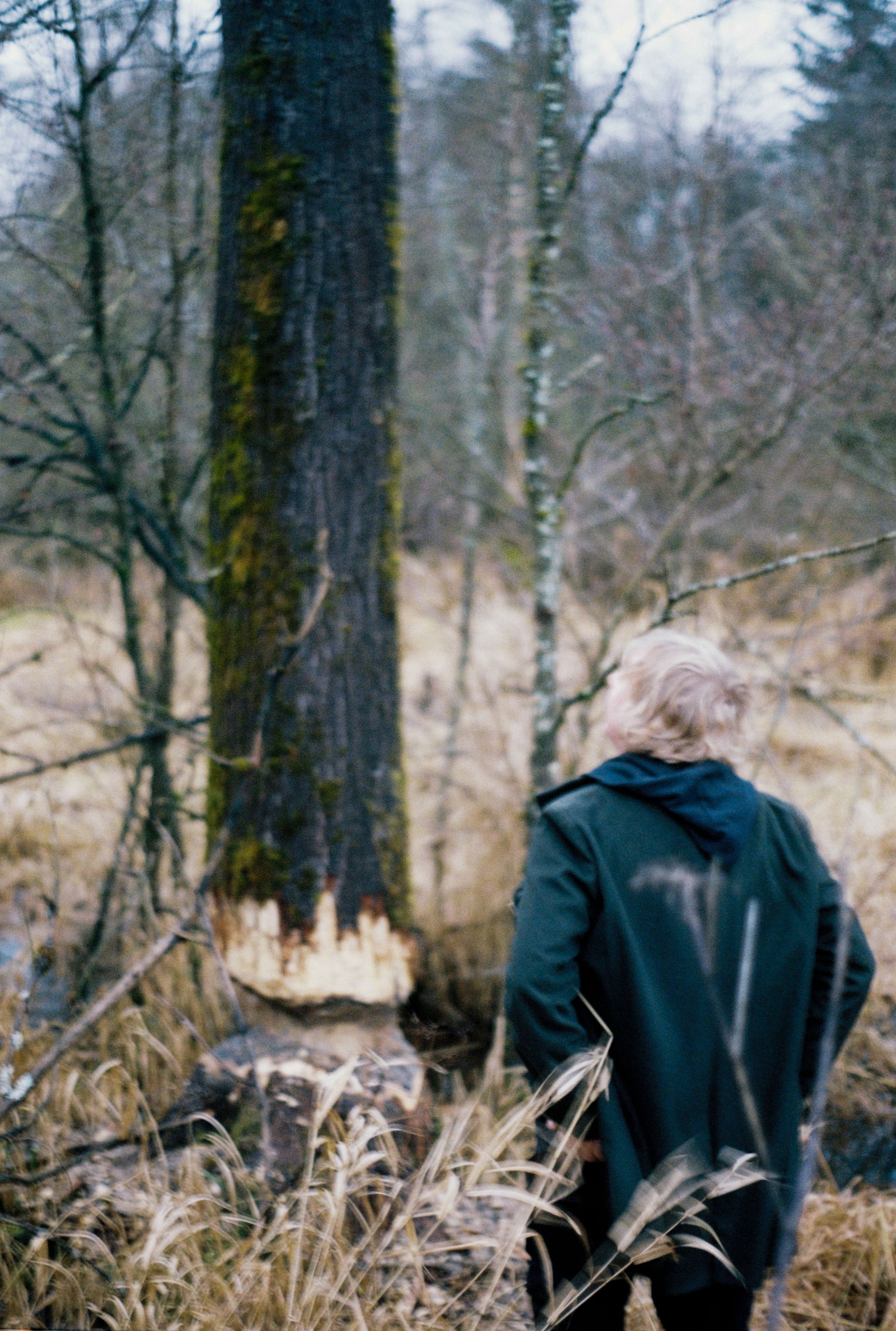 Foto van Dominik Eulberg, gemaakt door Willem Mevis