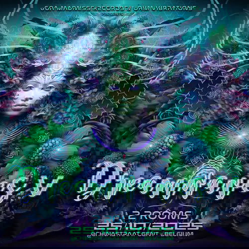Promo van Goa Madness Records &amp; Ohm Vibrations presents: Dreamwaves V, in opdracht van Goa Madness Records en Ohm Vibrations