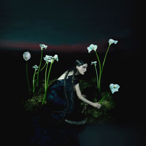 Artwork van A Requiem, in opdracht van Penelope Trappes