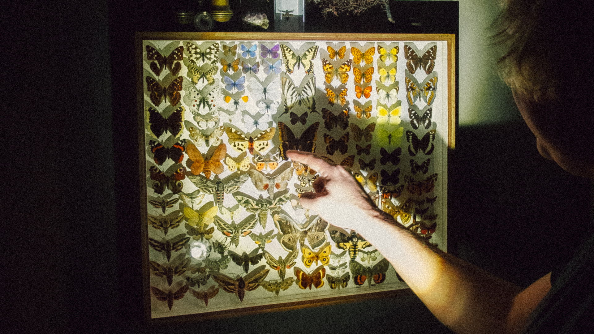 Dominik Eulberg, gemaakt door Willem Mevis