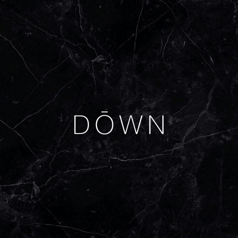 Logo van DOWN Label