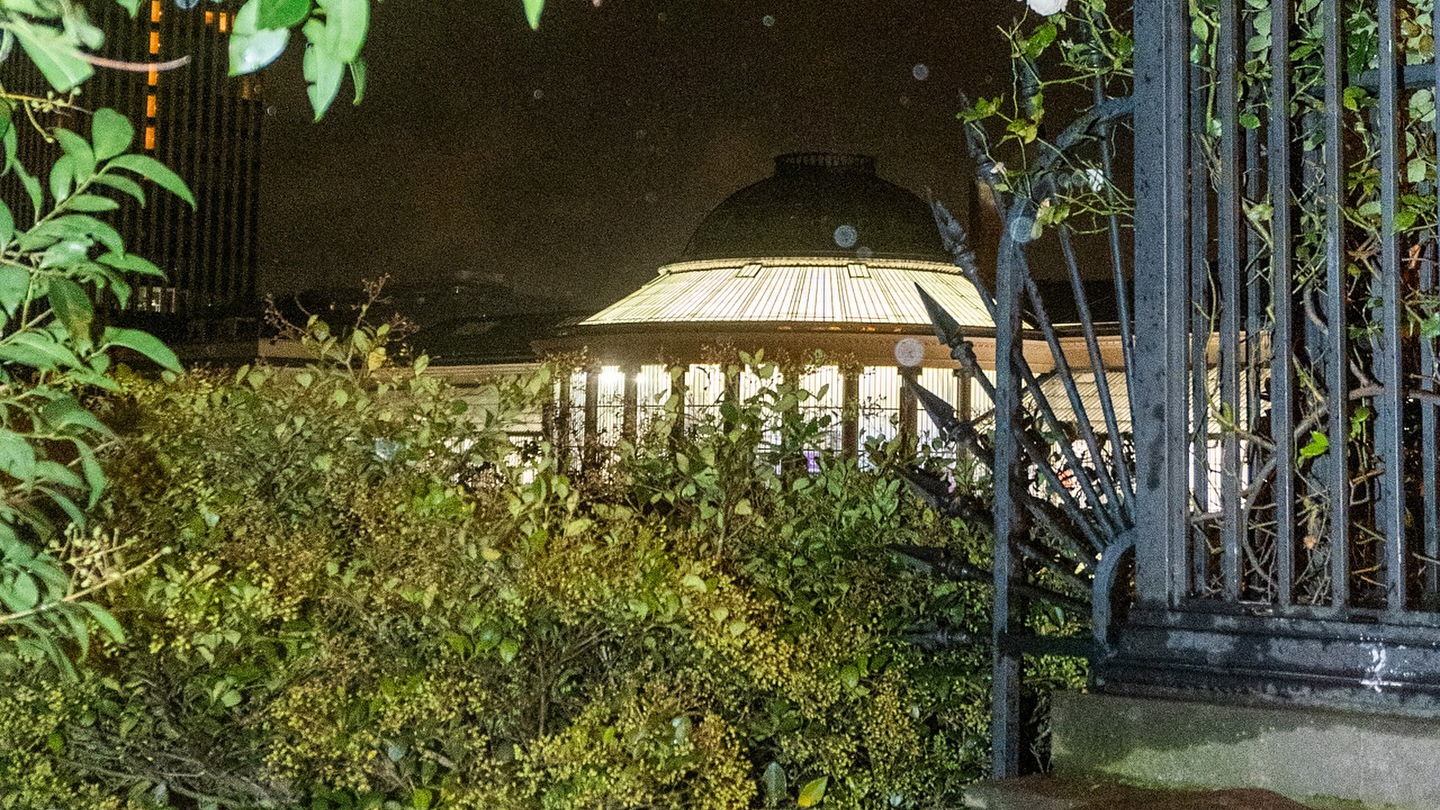Foto van Botanique, gemaakt door Jente Waerzeggers
