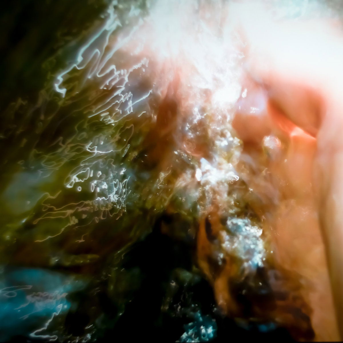 Artwork van touch•me•not, in opdracht van hara alonso