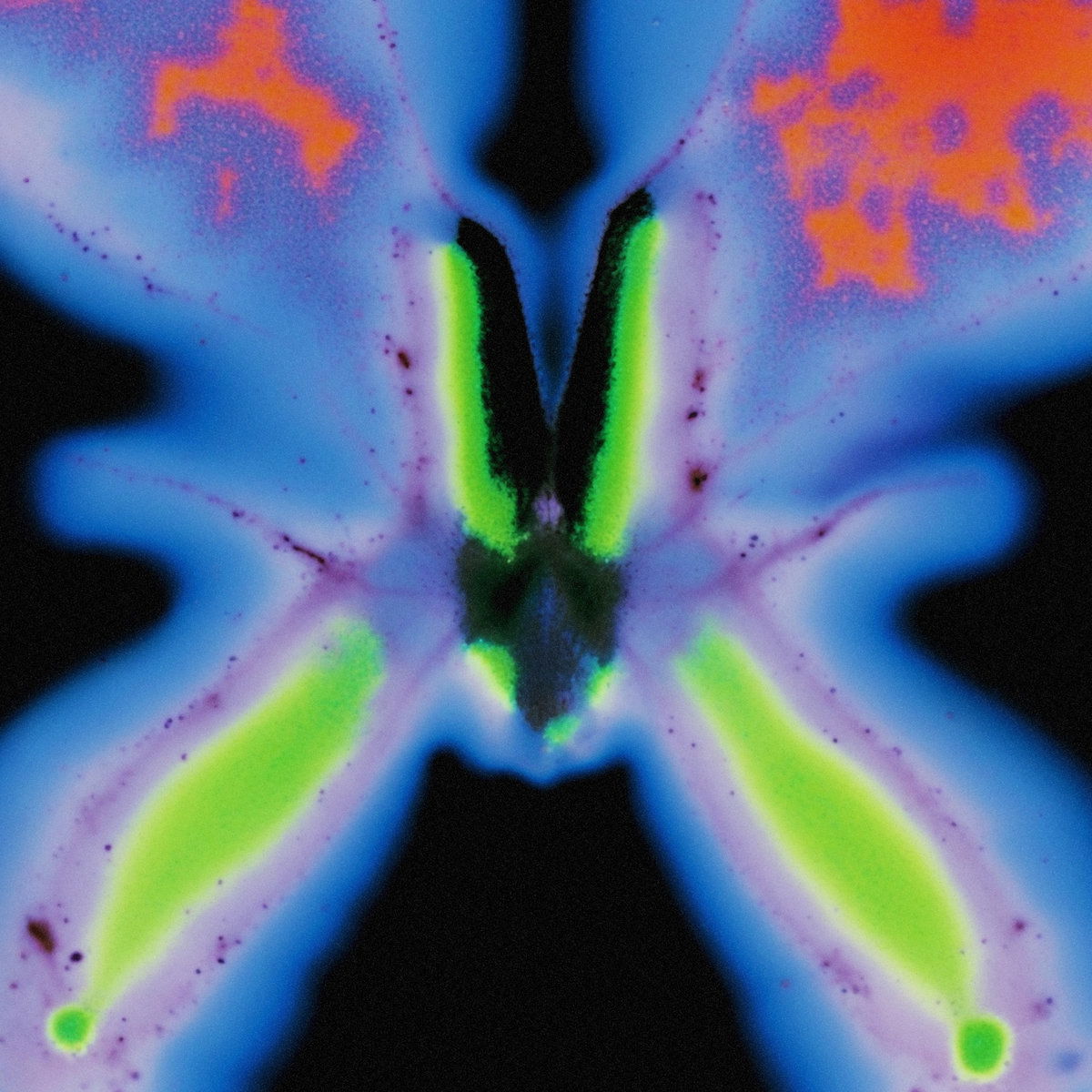 Artwork van Elvers Pass, in opdracht van Jorg Kuning