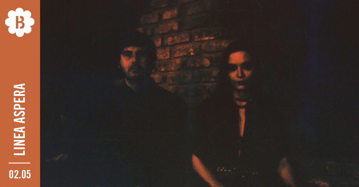 Artwork van Linea Aspera, in opdracht van Botanique