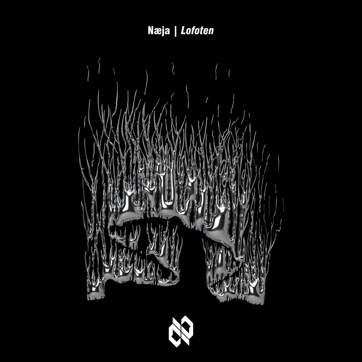 Lofoten, in opdracht van Næja