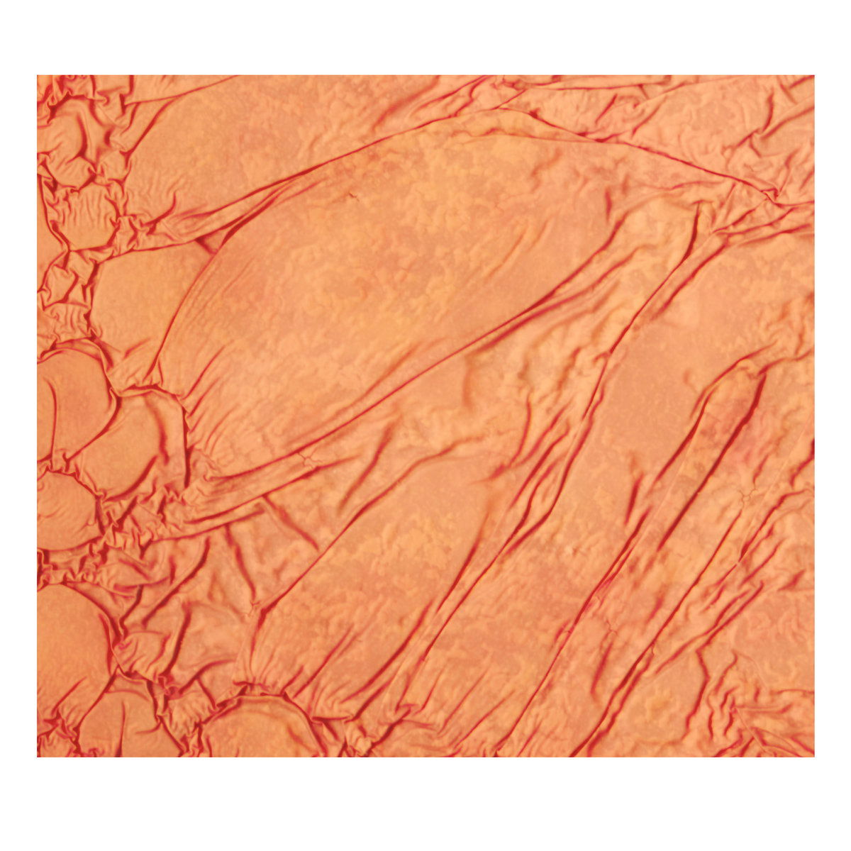 Artwork van in your hands, in opdracht van fields we found