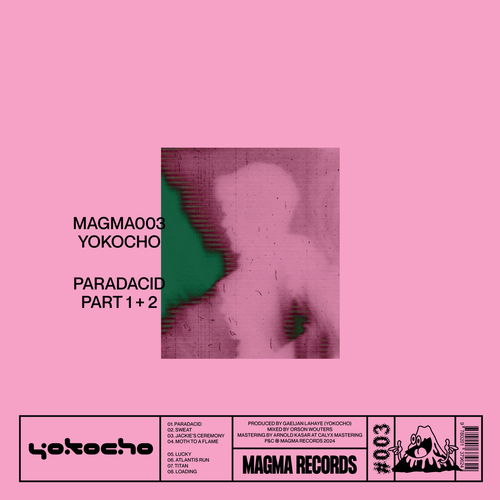 Artwork van Paradacid Part 1+2, in opdracht van YOKOCHO