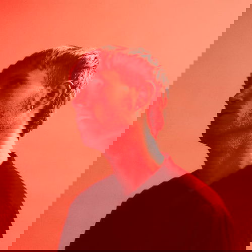 David Bay