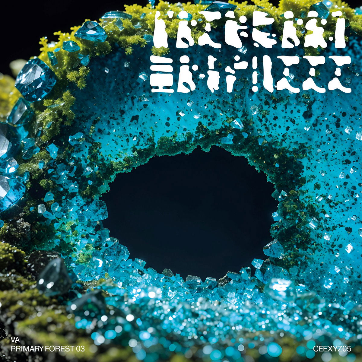 Artwork van PRIMARY FOREST 03, in opdracht van CEE