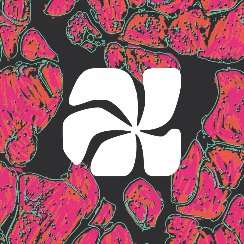 Logo van Couleur Café 2025, in opdracht van Couleur Café