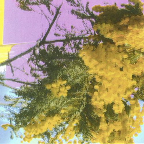 Artwork van Into Dust (Still Falling), in opdracht van Four Tet