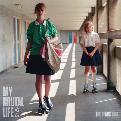 Artwork van My Brutal Life 2, in opdracht van The Black Dog