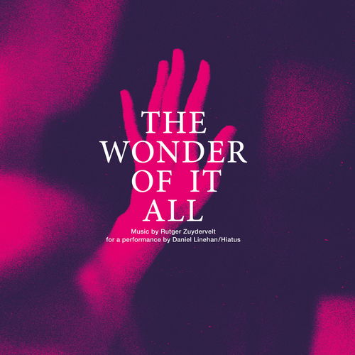 Artwork van The Wonder Of It All (music for a performance by Daniel Linehan/Hiatus), in opdracht van Rutger Zuydervelt