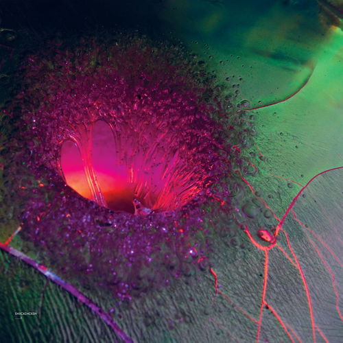 Artwork van ......t, in opdracht van SHXCXCHCXSH