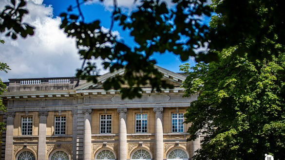 The Dansant