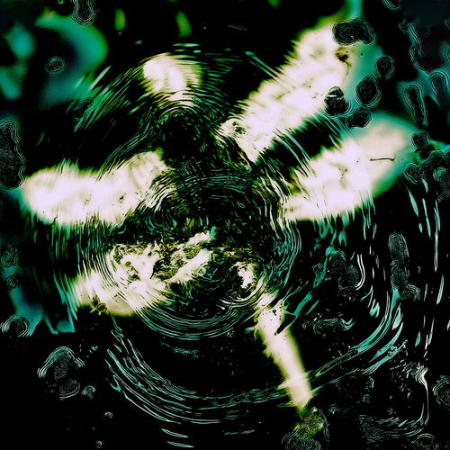 Artwork van Dragonfly, in opdracht van Pteron