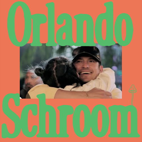 Artwork van Orlando Schroom, in opdracht van Magma Boyz