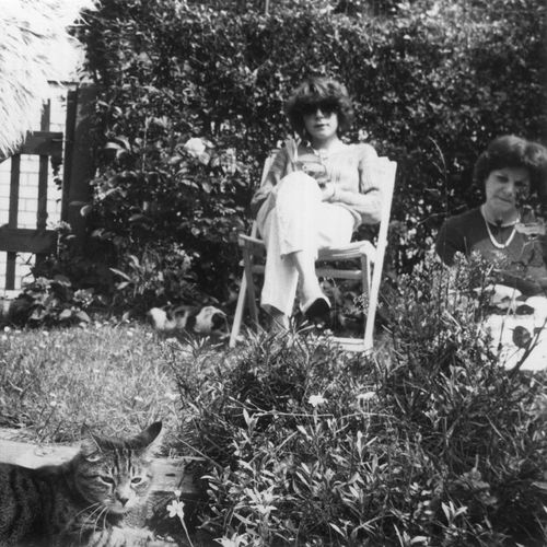 Artwork van Fernande, Cecile, in opdracht van Natasha Pirard