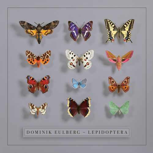 Artwork van Lepidoptera, in opdracht van Dominik Eulberg