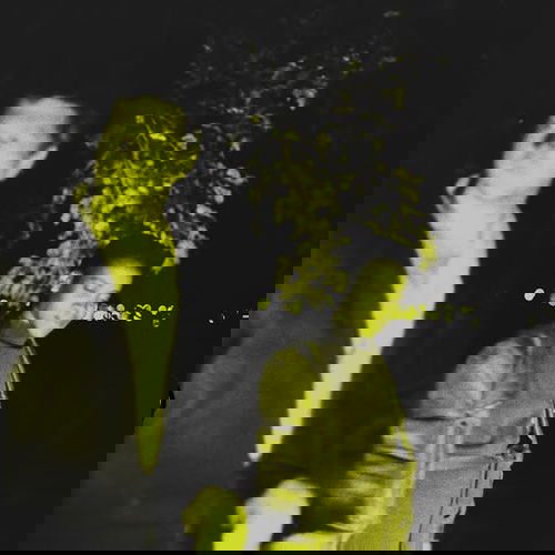 Promo van ƔAZAL, in opdracht van De Studio