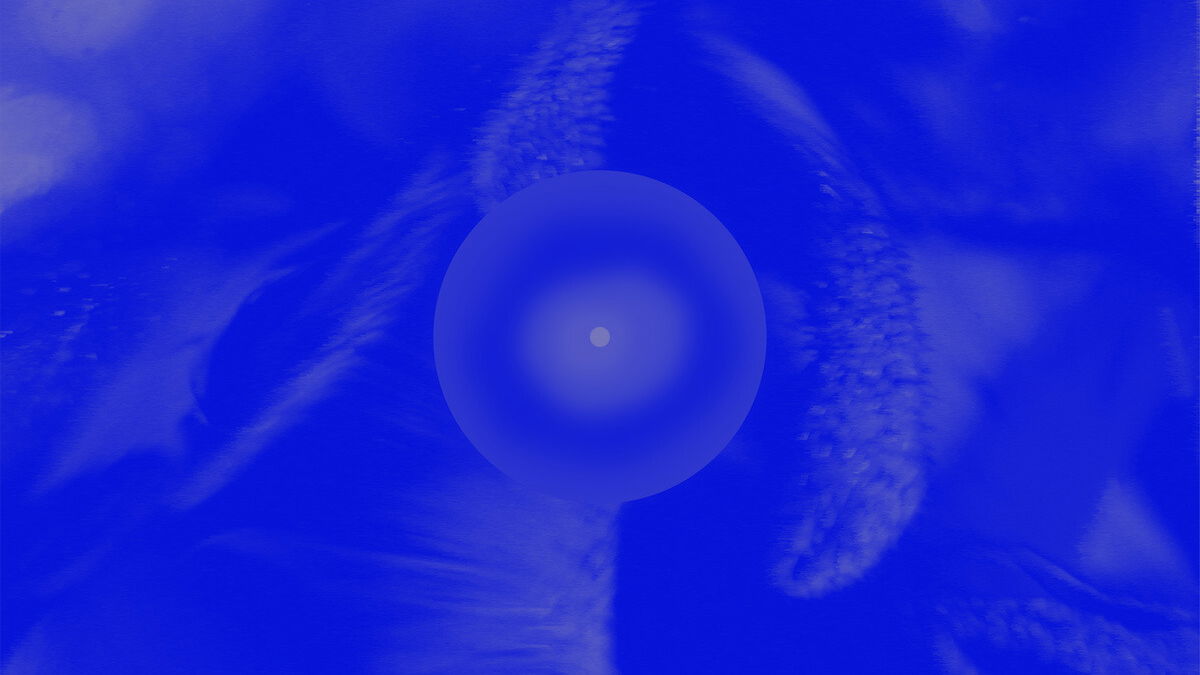 #LIJSTJESTIJD: De 15 beste dansalbums van 2025