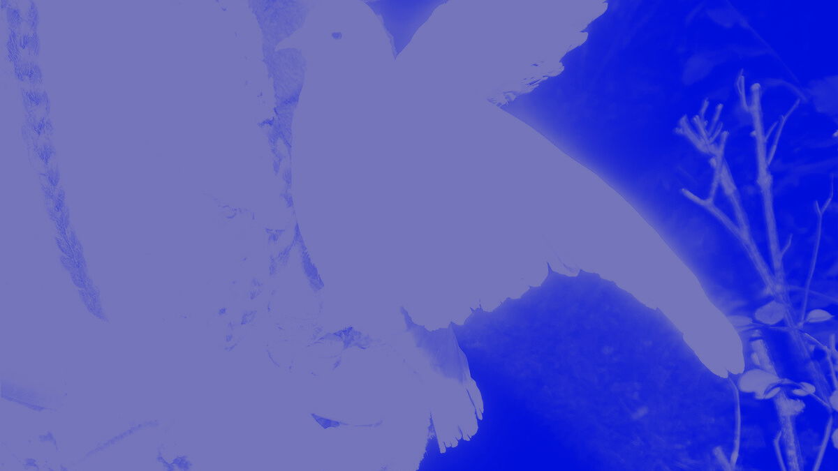 #LIJSTJESTIJD: De 10 beste Belgische albums van 2025