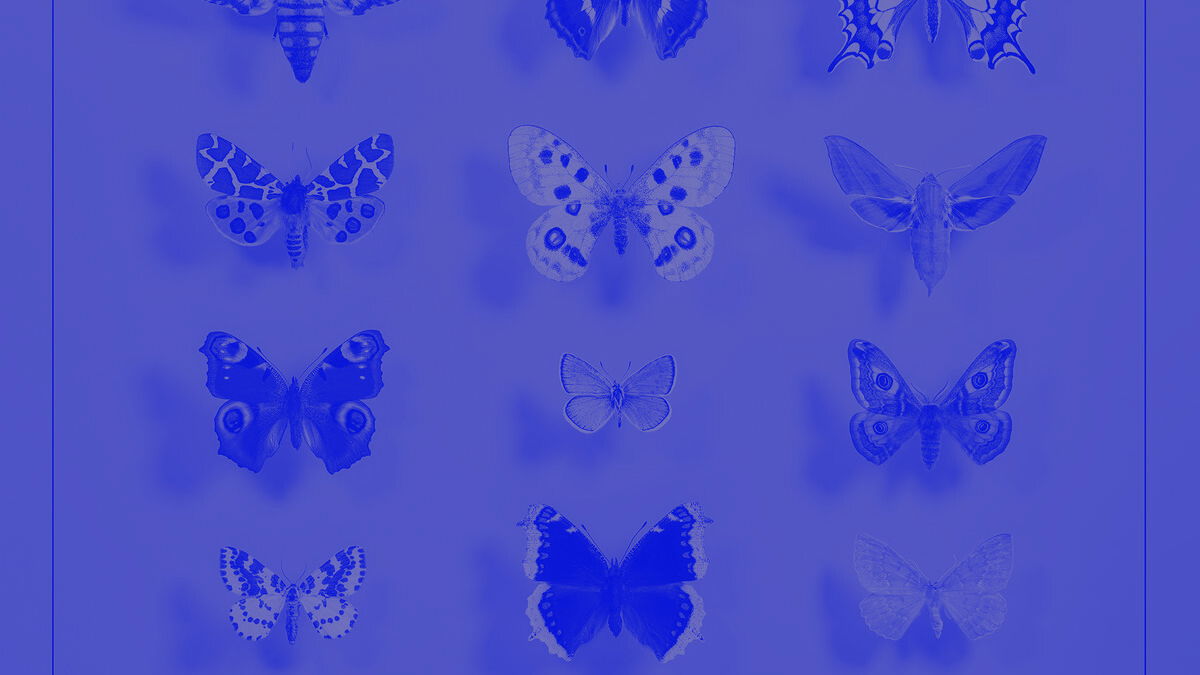 #LIJSTJESTIJD: De 15 mooiste luisteralbums van 2025