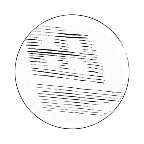 Promo van Miasmah 20 years: Svarte Greiner + Olga Anna Markowska, in opdracht van Ancienne Belgique