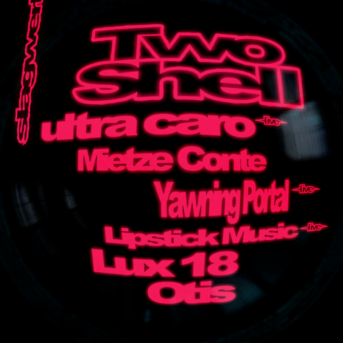 Promo van Slagwerk: Two Shell / Ultra Caro / Mietze Conte / Yawning Portal &amp; more | Botanique, in opdracht van Slagwerk