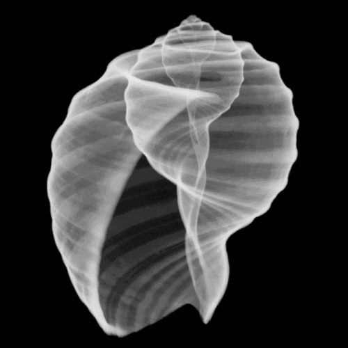 Promo van Deep Listening Night / In de ban van modulaire synthesizers, in opdracht van Concertgebouw Brugge