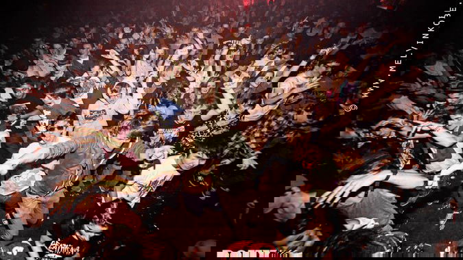 Logo van Daily Dubstep